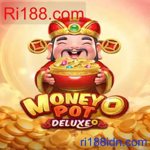 MoneyPotDELUXE